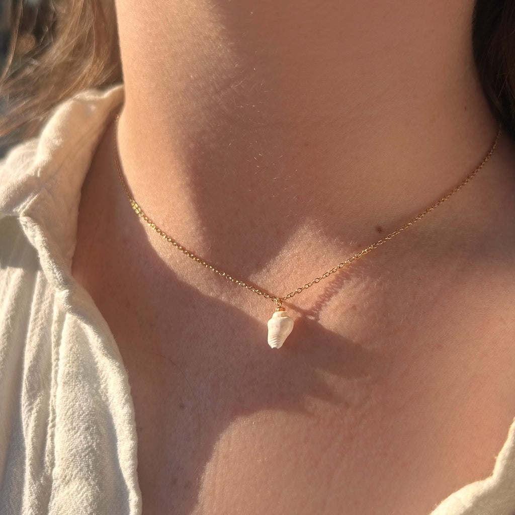 Collier coquillage